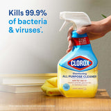 Clorox Disinfecting All-Purpose Cleaner and Disinfecting